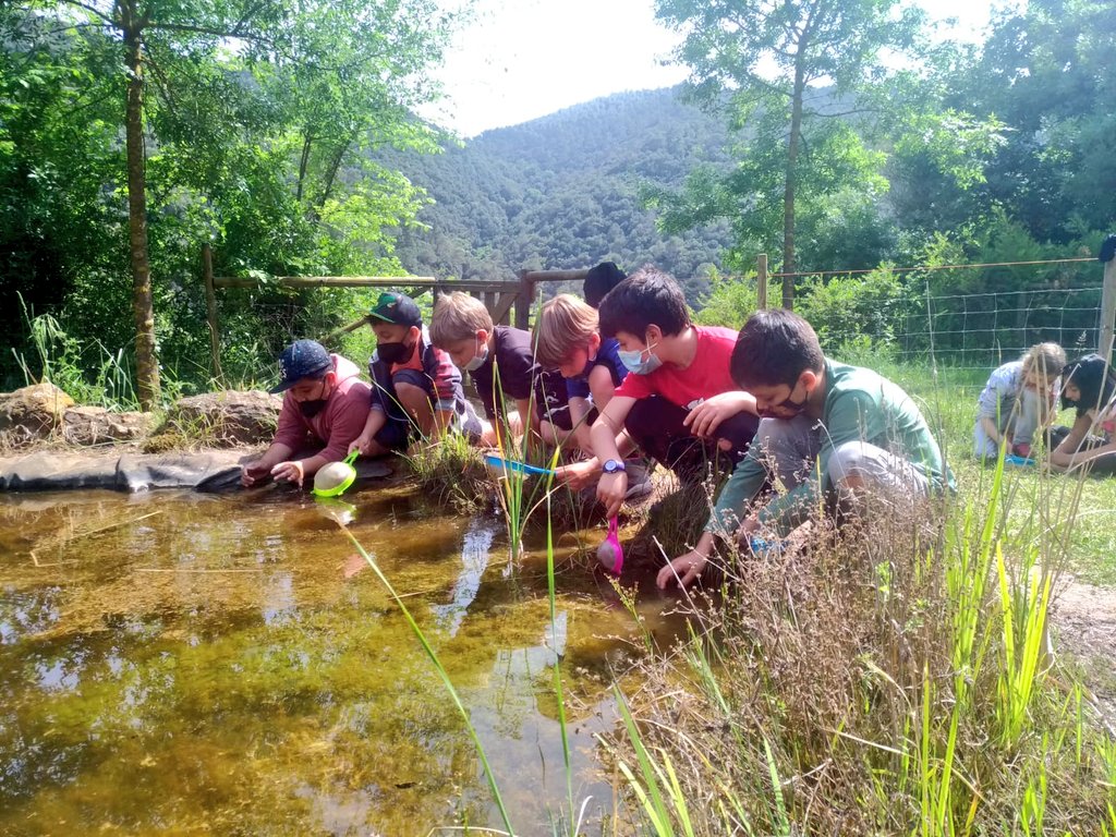 EAnglesola's tweet photo. Primer dia a la #RectoriaDeVallcarquera superat! Tot resseguint el riu hem anat descobrint la #FloraIFauna que ens envolta amb @apren_serveis. #MontsenyAllAround #EmocióEverywhere #ColòniesPerTothom https://t.co/lj1jaW9WM5
