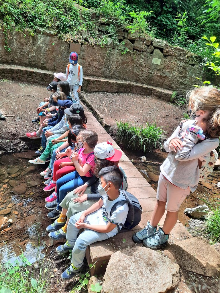 EAnglesola's tweet photo. Primer dia a la #RectoriaDeVallcarquera superat! Tot resseguint el riu hem anat descobrint la #FloraIFauna que ens envolta amb @apren_serveis. #MontsenyAllAround #EmocióEverywhere #ColòniesPerTothom https://t.co/lj1jaW9WM5