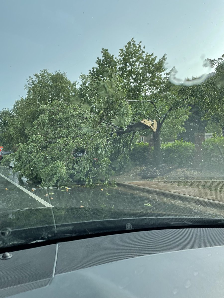 scarcamoboom's tweet photo. @ChuckBell4 @nbcwashington Storms in Alexandria, Trees Snapped and Down! #storm #Severe Thunderstorm Watch #onstorm @dougkammerer @GreenstreetNOVA https://t.co/tkPTRAlZtx