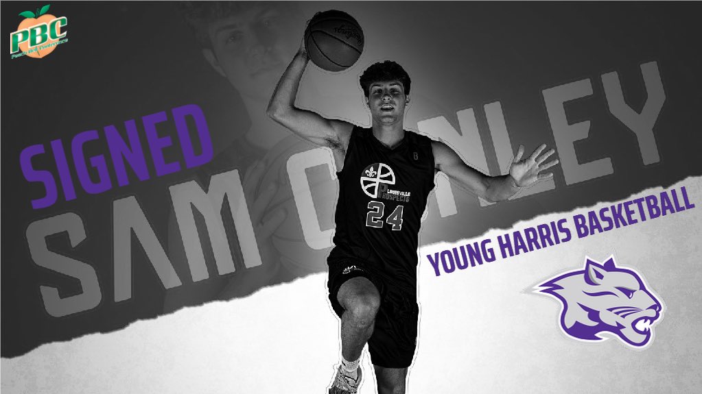 Young Harris Basketball tweet media