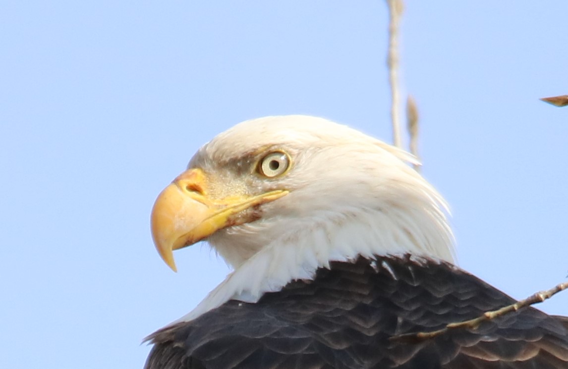 Dick Schmidt tweet media