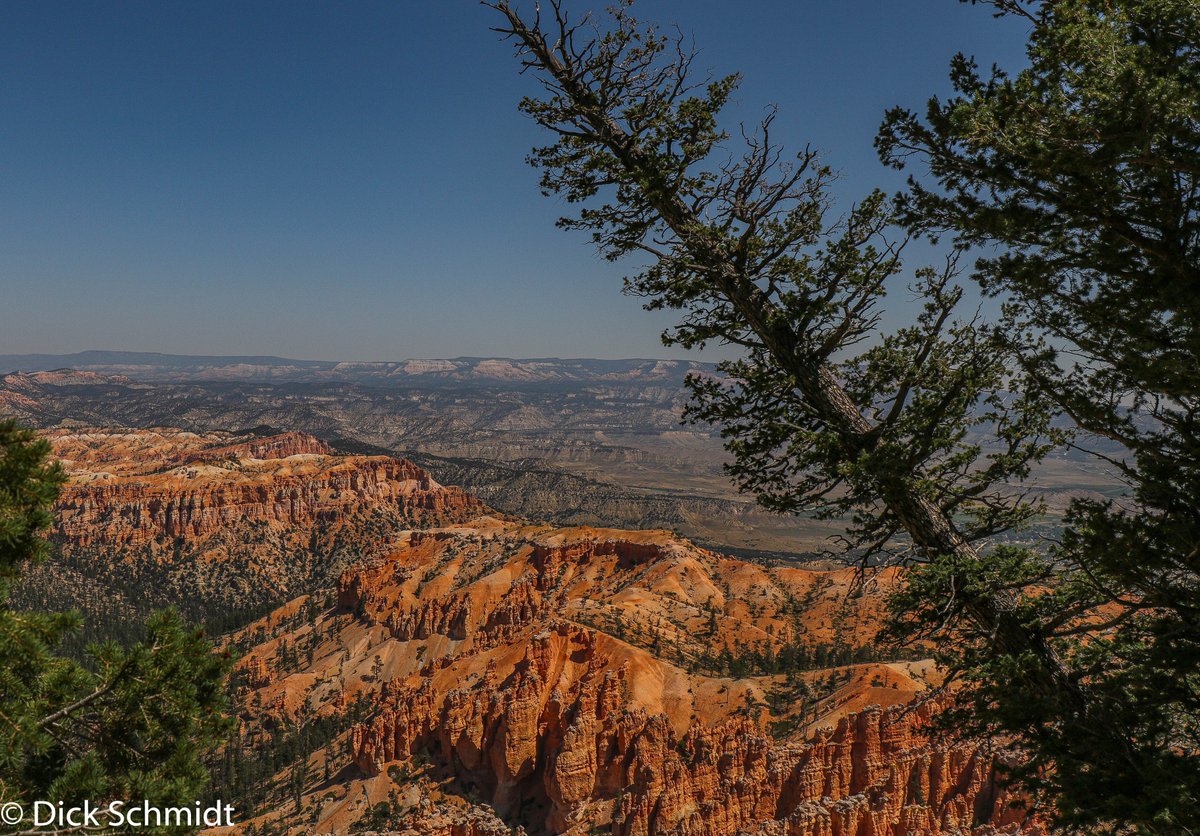 Dick Schmidt tweet media