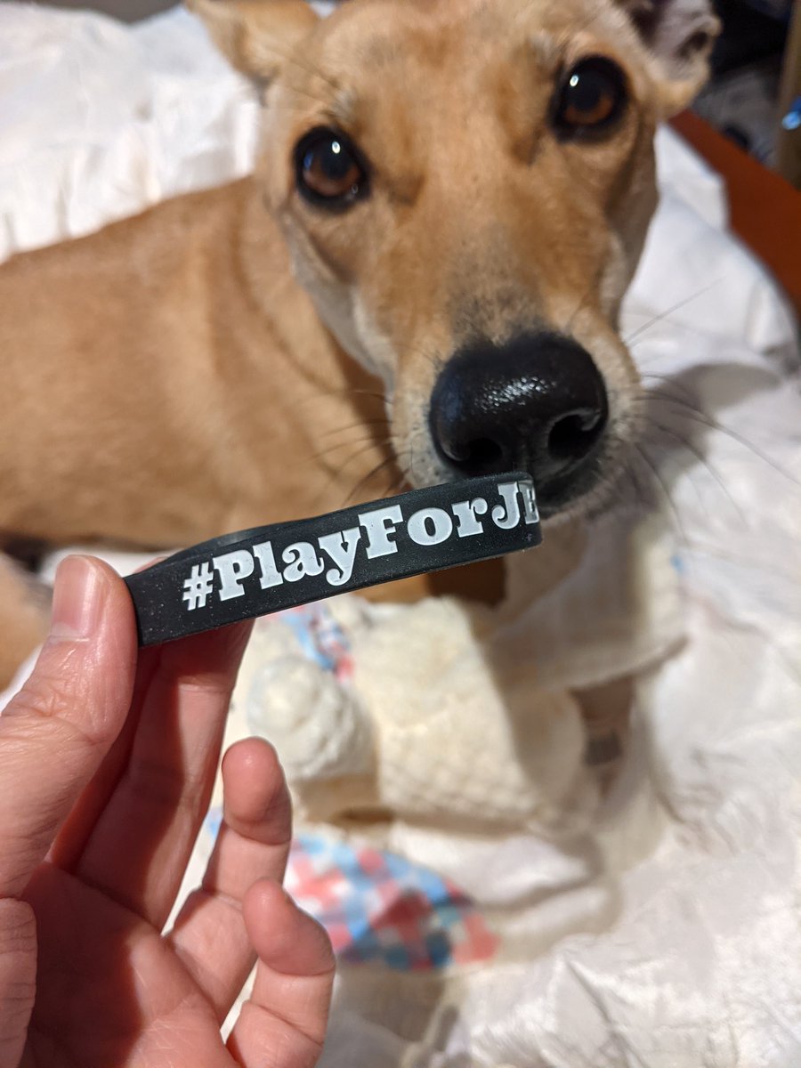 drawthenorth's tweet photo. We're a fan ๐๐โค๏ธโค๏ธ
#whynotJB
#playforJB https://t.co/vlUfjQ3Vk5