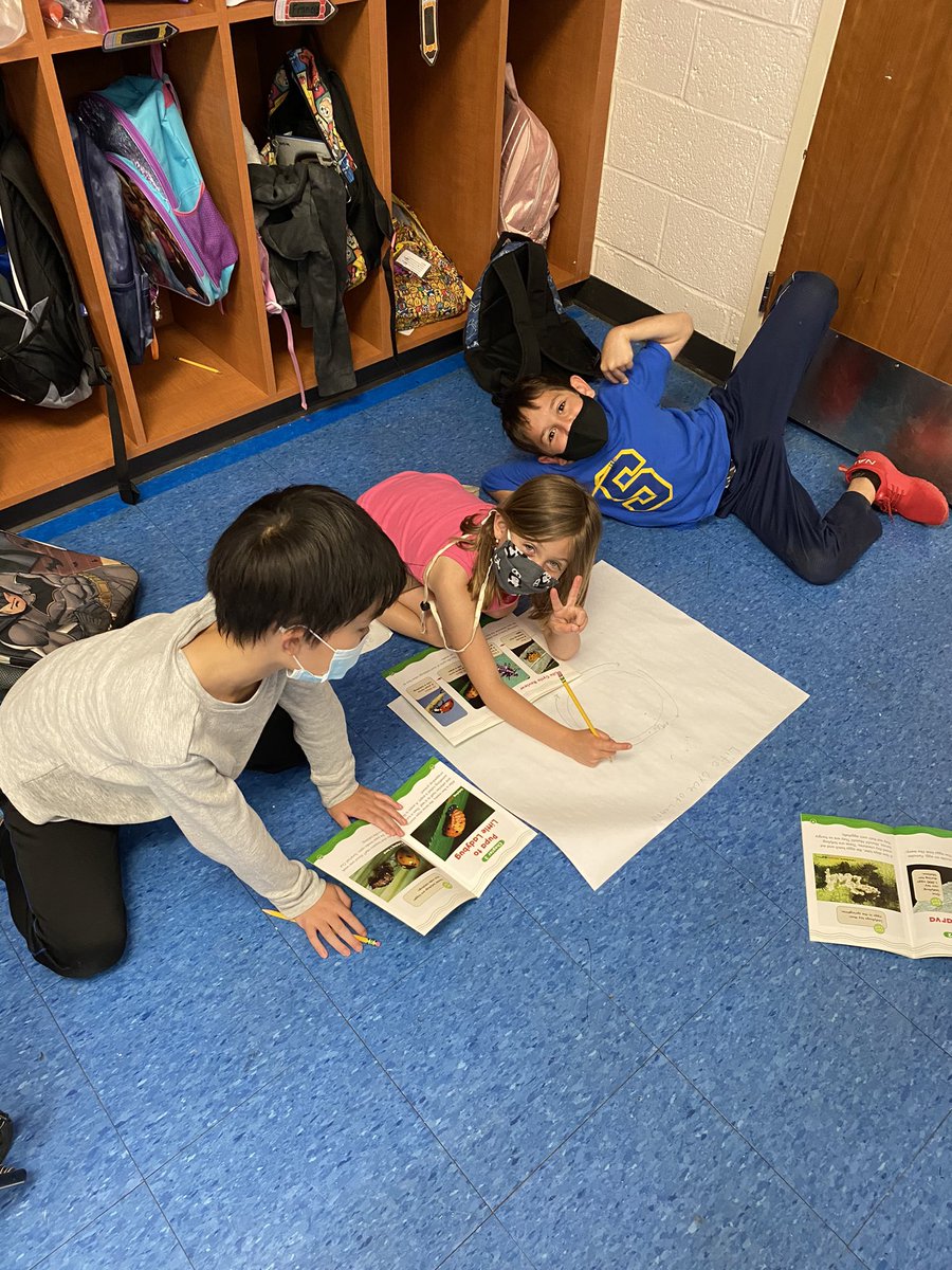 Mrs_DePetris's tweet photo. Working hard on our life cycle posters yesterday! https://t.co/u6DDUqT5Mo
