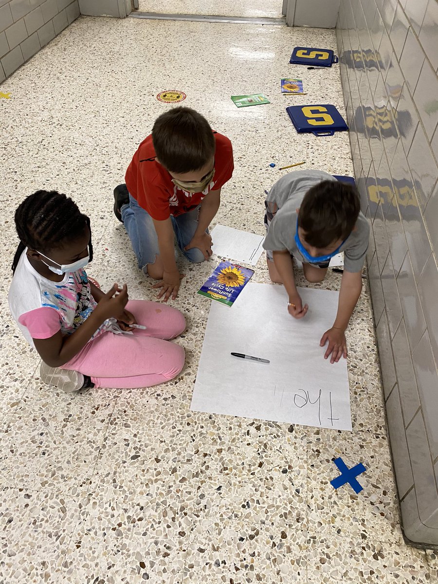 Mrs_DePetris's tweet photo. Working hard on our life cycle posters yesterday! https://t.co/u6DDUqT5Mo
