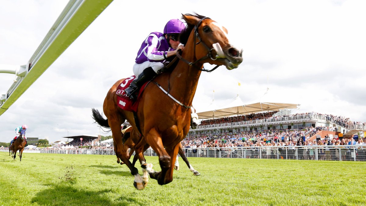 RacingWinning's tweet image. "SHOW Bettor is Better with PRIME POWER!" This is a short system that was reserved for our MEMBERS ONLY area. How long will we keep it FREE for your profit? Who knows? Read it now to boost  your PROFIT! #horseracingtips #horseracing
racingnumerology.com/reading-the-nu…