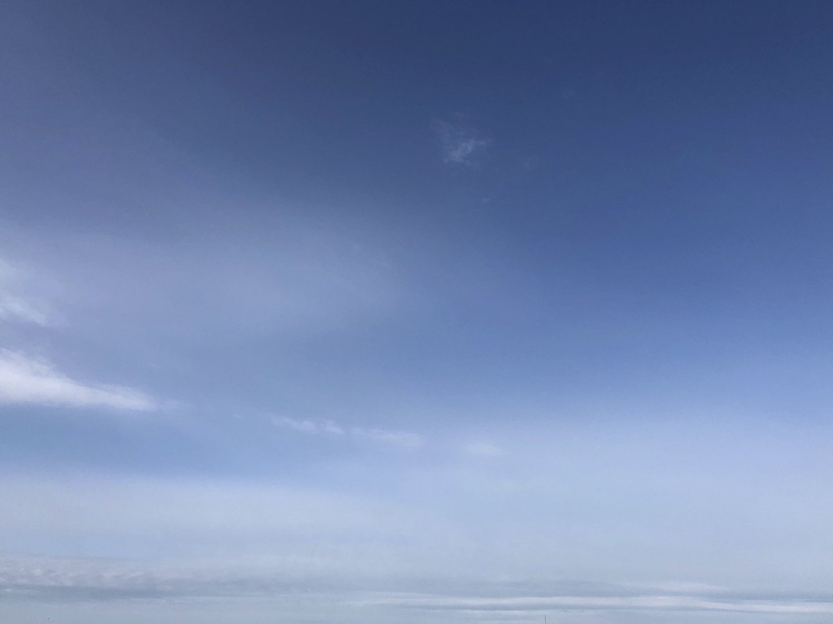 朝空 Twitter Search