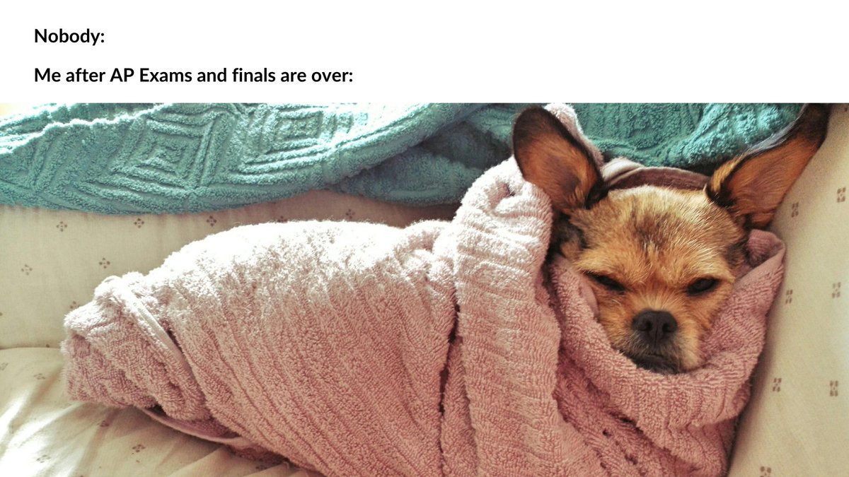 collegetracker1's tweet photo. π€My summer plans include Netflix, sleep, and nothing else. #apmemes #apexams https://t.co/rBC6wTLnrg