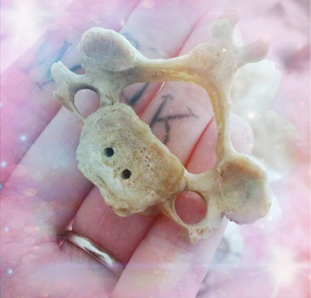 Morrigan_Wolfe's tweet photo. I found this for Keeef....... I don't think he has one of his own.
#spineless #dominiccummimgs #KeirStarmer #colaborator #Covid https://t.co/hzGpBY8jHw