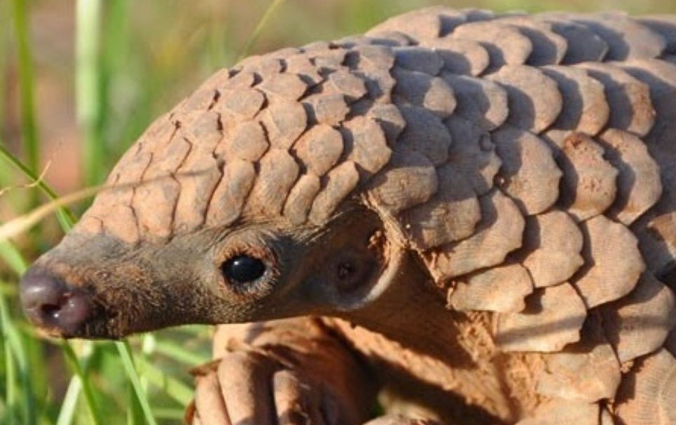 Liberta 🏴‍☠️ tweet media