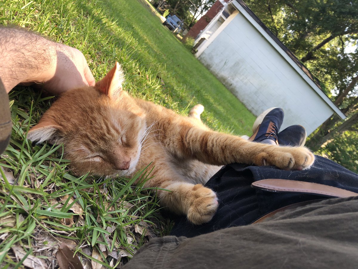 Taikeing An, Nap. Outside e with: Dadē