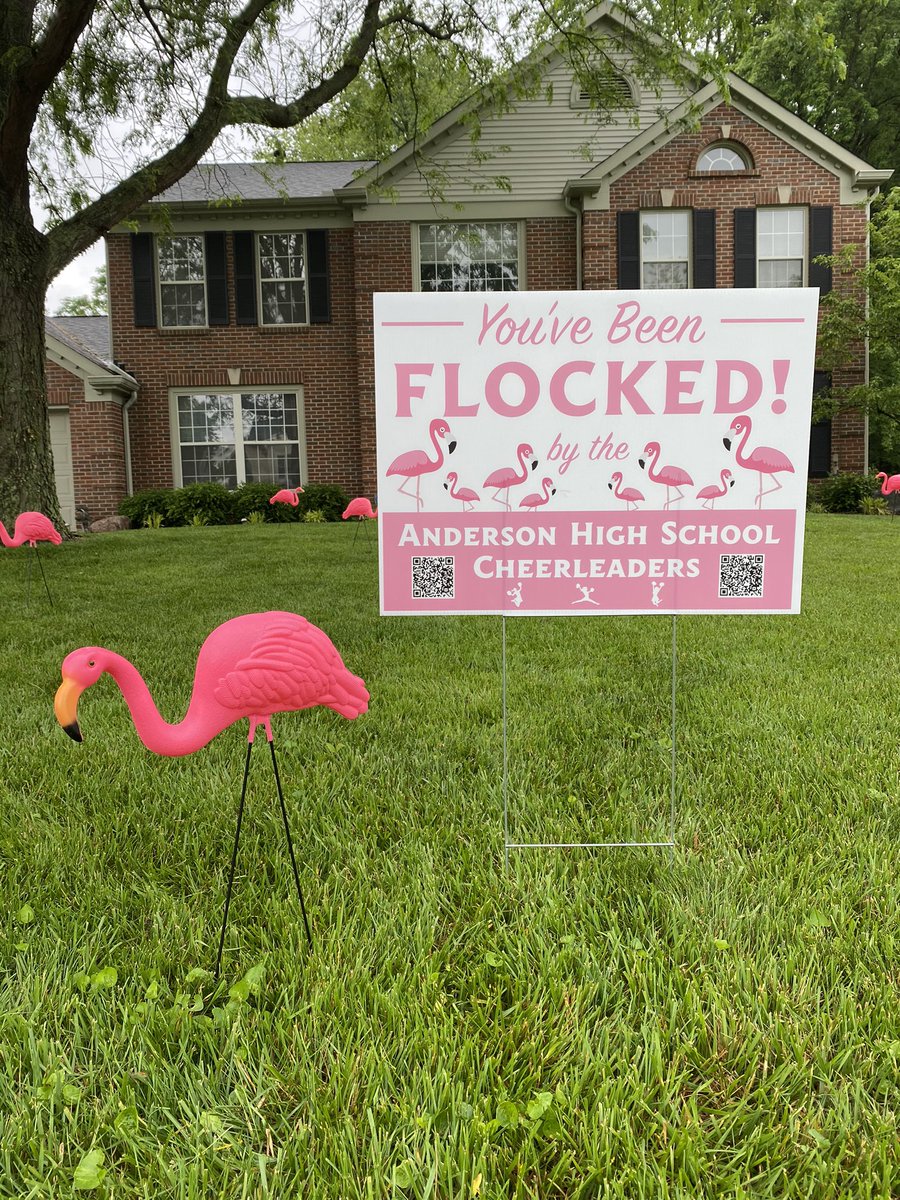 Anderson Cheerleading tweet media