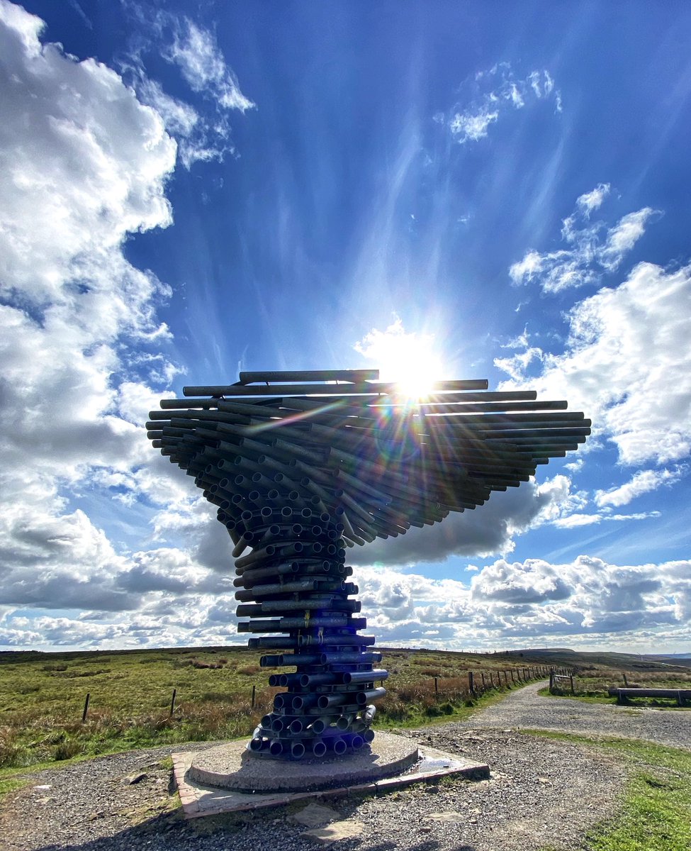 debs_hardy's tweet image. #singingringingtree #beautifulburnley