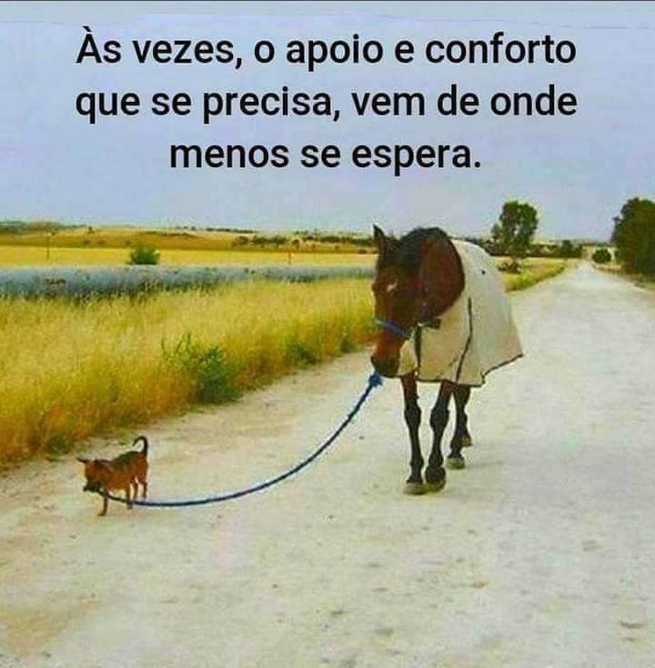 keityussia's tweet photo. Não procure,... espere 🙃🙂

#PensamentoDoDia https://t.co/qeqiFcthv5