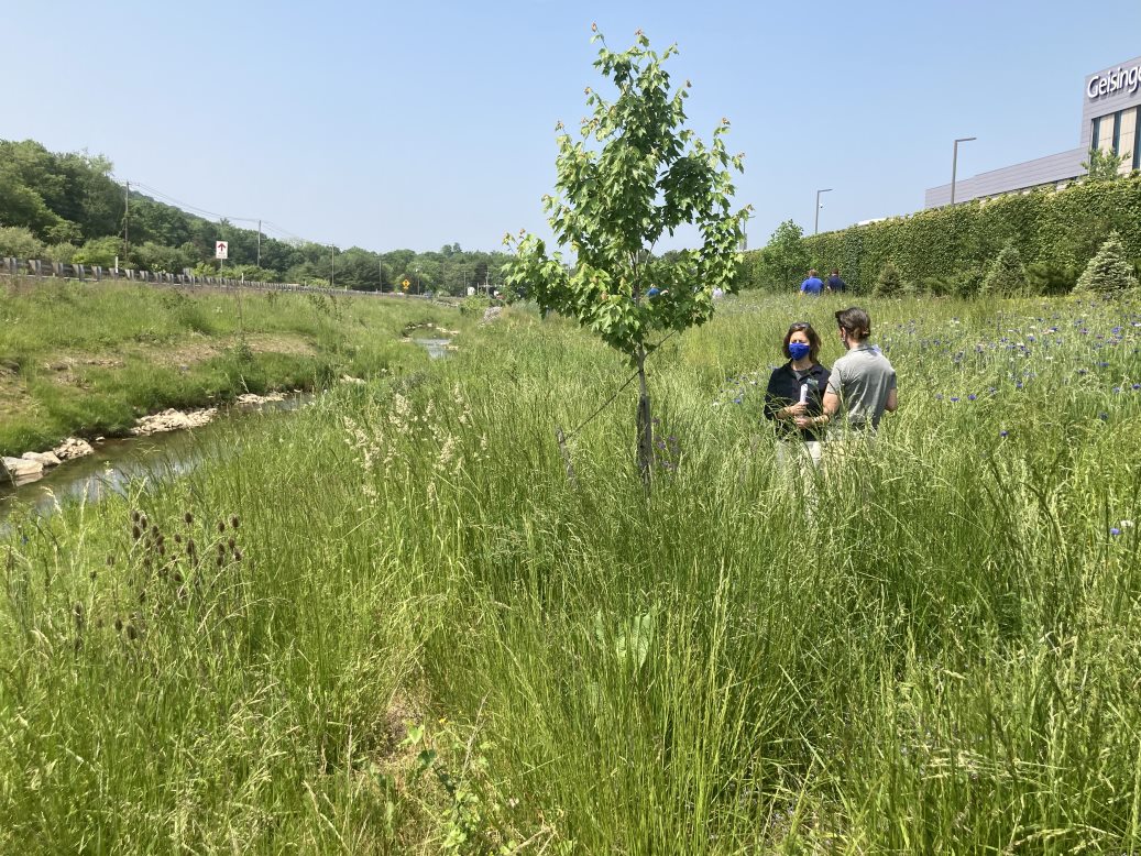 DCNRnews's tweet photo. DCNR Deputy Sec. Lauren Imgrund, State Forester Ellen Shultzabarger and @GeisingerHealth officials toured a #StreamBuffer at Geisinger Woodbine Lane that shows how one can include pollinator habit and recreation in projects that improve #WaterQuality ➡ https://t.co/JNxkSLFYs1 https://t.co/VQ2T8Fo7Z2