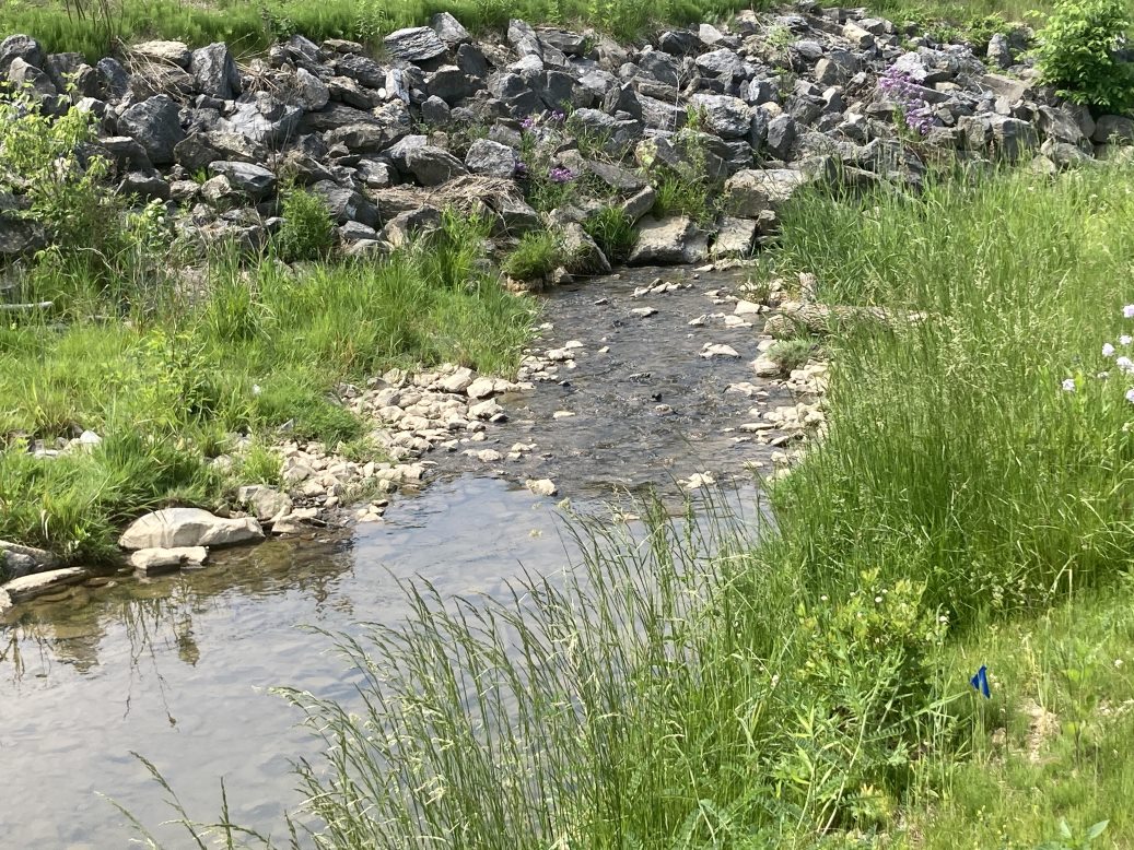 DCNRnews's tweet photo. DCNR Deputy Sec. Lauren Imgrund, State Forester Ellen Shultzabarger and @GeisingerHealth officials toured a #StreamBuffer at Geisinger Woodbine Lane that shows how one can include pollinator habit and recreation in projects that improve #WaterQuality ➡ https://t.co/JNxkSLFYs1 https://t.co/VQ2T8Fo7Z2