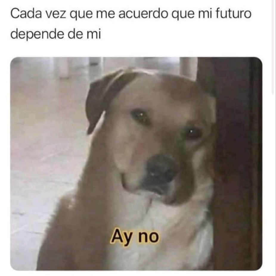 Pomberismo's tweet photo. https://t.co/D5xv8r8bJR