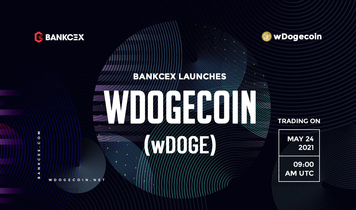 w_dogecoin's tweet photo. 🔥Good News

🚀On 2021/05/24 09:00 AM (UTC), the trading of WDOGECOIN @w_dogecoin
🚀(wDOGE) will be opened on BankCEX. User can join the trading of wDOGE in BTC and USDT markets in our exchange. 
https://t.co/wVJlICTx7V https://t.co/LGyLODM3lq