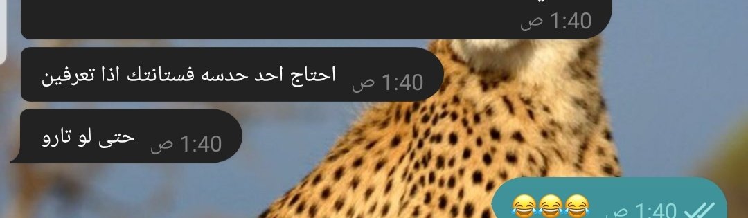 انقذونا بناس بيرفكت مو اي كلام.