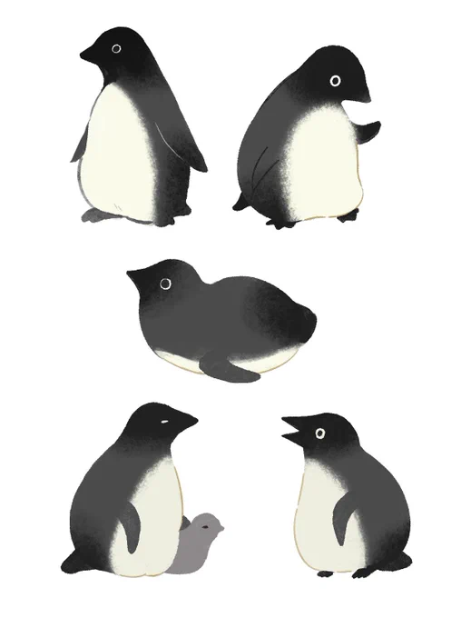 🐧習作 
