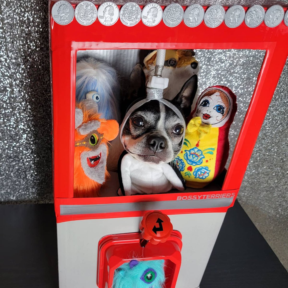 BossyBostons's tweet photo. The arcade claw caught the cutest prize! 🎁🐶😍
What celebrity do you think would be a good fit for our @maskedsingerfox inspired costume? 
#themaskedsingerdog @kenjeong #themaskedsinger #cosplay #russiandollmask #monstermask #grandpamonstermask #FoxMask #whatchamacallitmask https://t.co/zoyCfD91ll