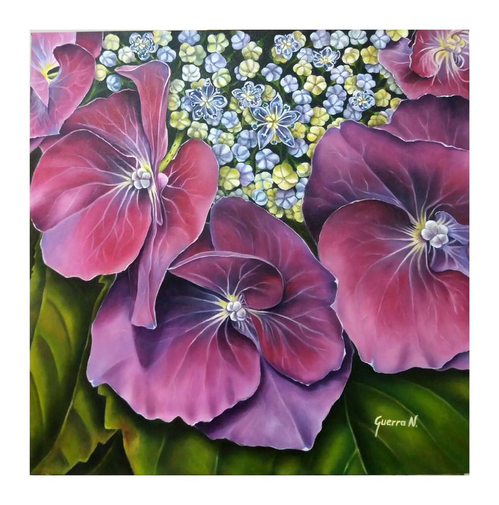 EmbajadoresArte's tweet photo. Title: Genesis Magenta
Artist: Ligia Patricia Guerra
@arte_guerran
Medium: Oil on canvas
Dimensions: 24" x 24"
#EmbajadoresdelArte #ca;la #oilpainting #oiloncanvas #oilart #naturepainting #oilartwork #artistsoninstagram #flowergram #flowerpainting #floralart #flowerpainter https://t.co/1oeNaW0AL5