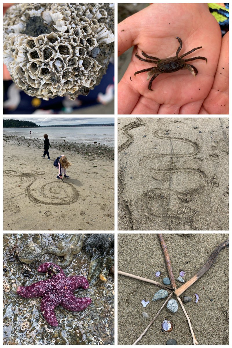 Sylvia King (@sylviamarieking) on Twitter photo The perfect place to find and create patterns in nature! <a href="/HollyburnSchool/">Hollyburn Elementary School</a> <a href="/jenntangwong/">Jennifer Wong</a> The perfect place to find and create patterns in nature! <a href="/HollyburnSchool/">Hollyburn Elementary School</a> <a href="/jenntangwong/">Jennifer Wong</a>