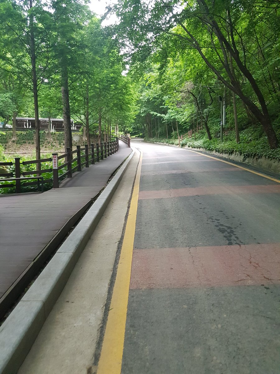 wanerbefull's tweet photo. 대전에 ��느 숲길 사람들이 정말 없다
드는 생각이....^___________^ https://t.co/BBgH1Eoorg