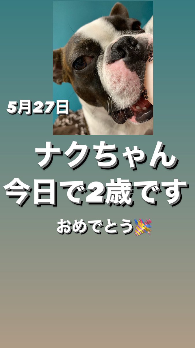 魔女めぐみ W5yzlmzvklsiytc Twitter