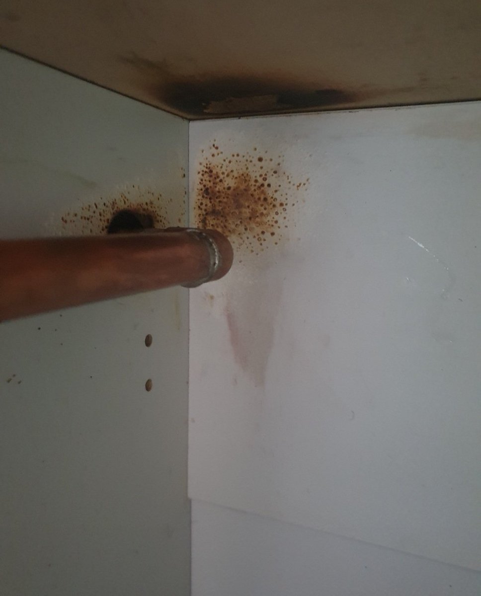 laurajohn89's tweet photo. @BBCTheOneShow a damaged front door, poorly fitted fence and endless patch up jobs from @WaterstoneUK and @jehugroup just to name a few #tagthesnag #newbuildproblems https://t.co/GgUSCW8GQy