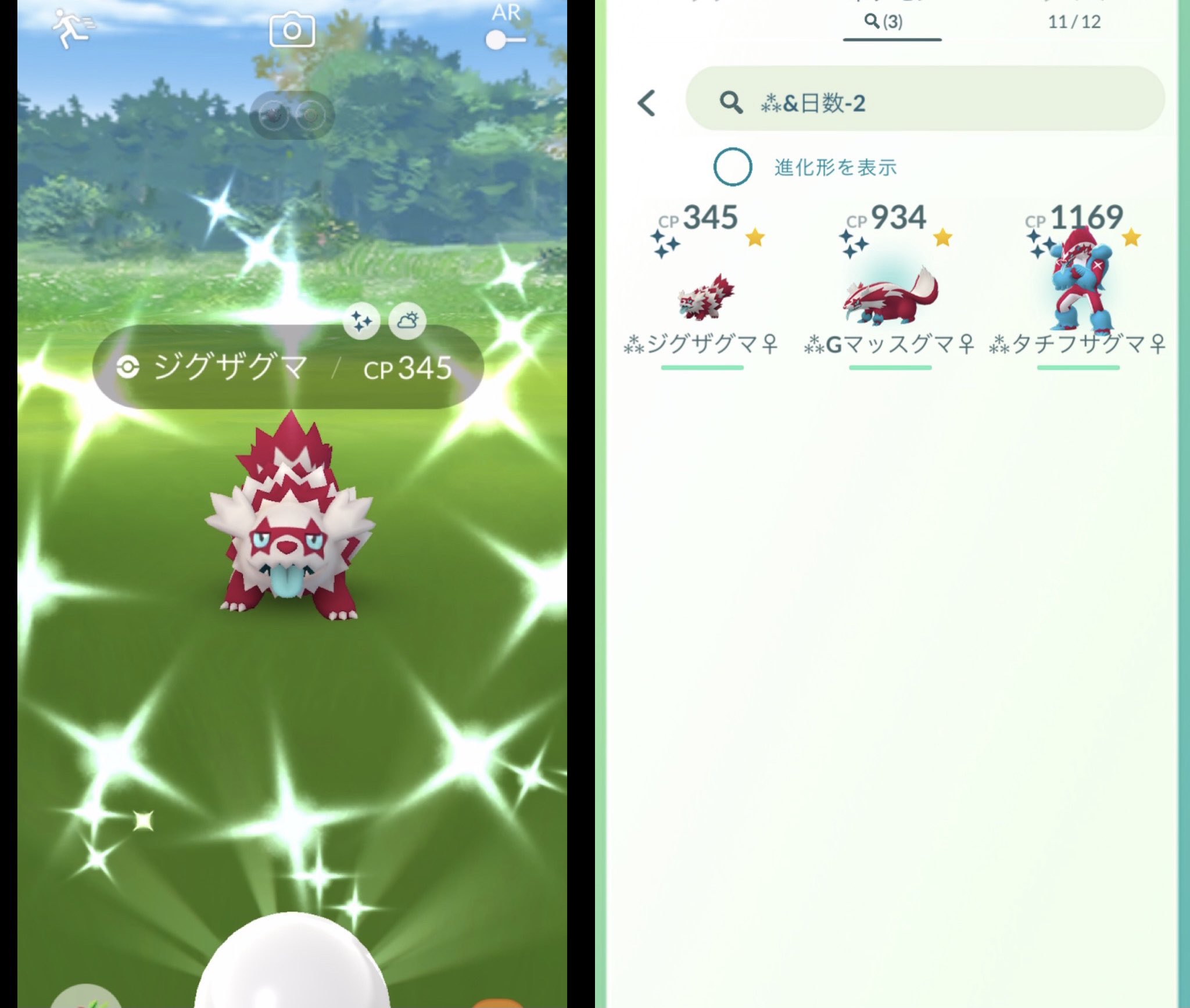 ポケモンカードゲーム PSA10 ガラルジグザグマ ガラルマッスグマ 色