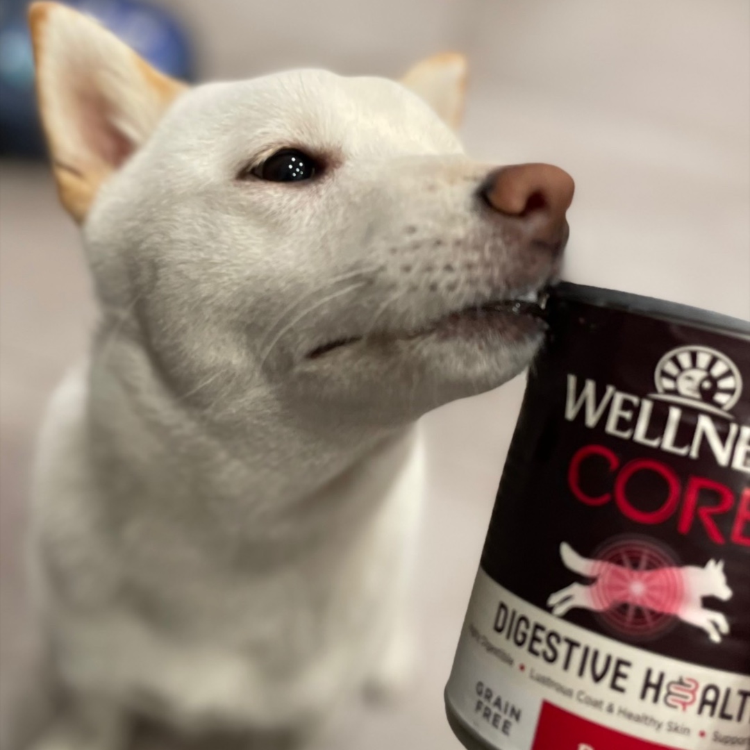 #contest #complimentary #HappyDogHealthyBelly <a href="/Influenster/">Influenster</a> @WellnessPetFood