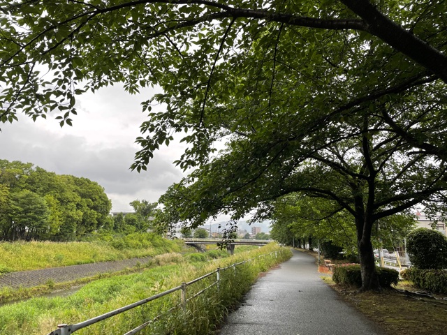 おはようございます！
京都市山科区、今朝荷天候は雨☔
肌寒く感じますので上着をお忘れなく👍
本日もよろしくお願いします☺

#企業公式が毎朝地元の天気を言いあう 
#企業公式夏のフォロー祭り 
#京都の天気