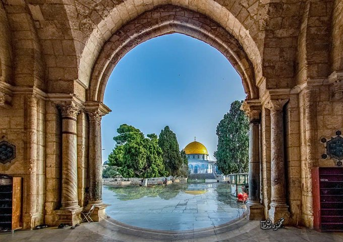 o__salim's tweet photo. 💚

#فلسطين #المسجد_الأقصى #Palestine https://t.co/z7NrAPvQpY