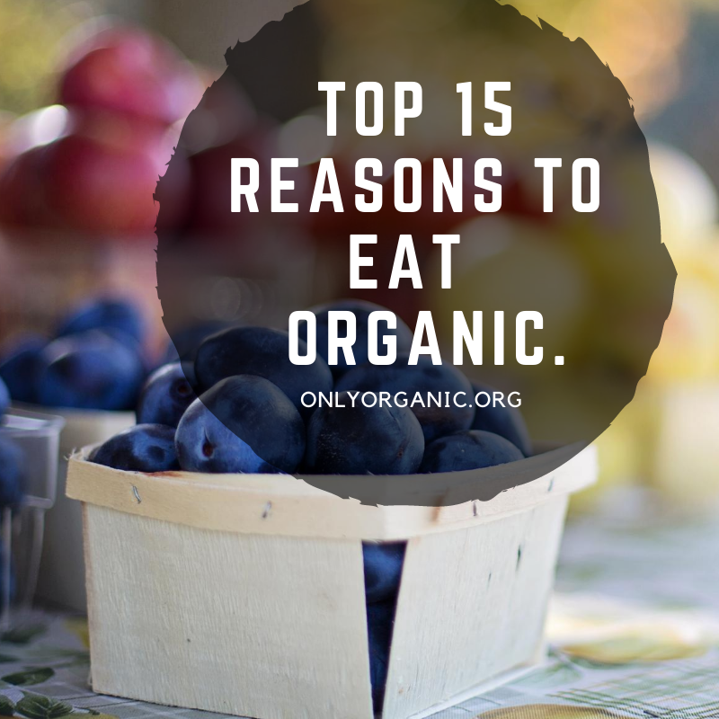 There are hundreds of reasons to choose certified organic over conventional products, but we’ve narrowed it down to the top 15 reasons to eat organic. #OrganicBenefit Bookmark this: onlyorganic.org/15-reasons-to-…