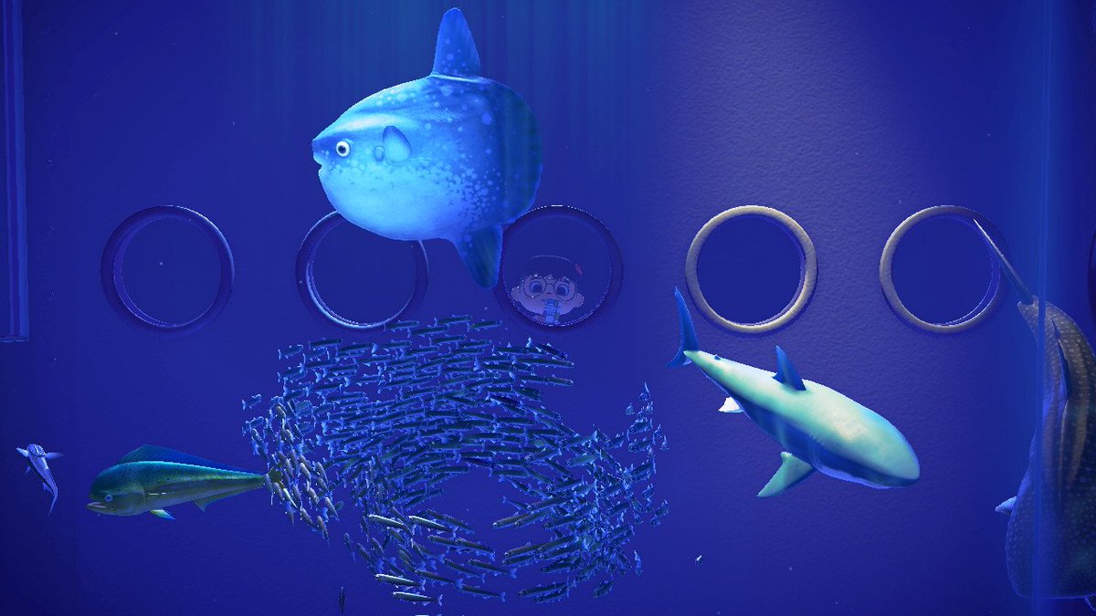 limplaysac's tweet photo. Sometimes you gotta just watch the animated fish and pretend life is as peaceful as it is in animal crossing 🦈🐋🐟
#ACNH #AnimalCrossingNewHorizons #AnimalCrossing https://t.co/NAUUWj9iV0