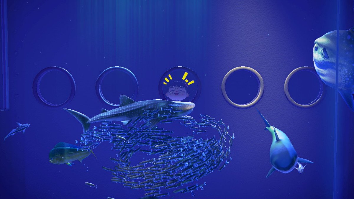 limplaysac's tweet photo. Sometimes you gotta just watch the animated fish and pretend life is as peaceful as it is in animal crossing 🦈🐋🐟
#ACNH #AnimalCrossingNewHorizons #AnimalCrossing https://t.co/NAUUWj9iV0