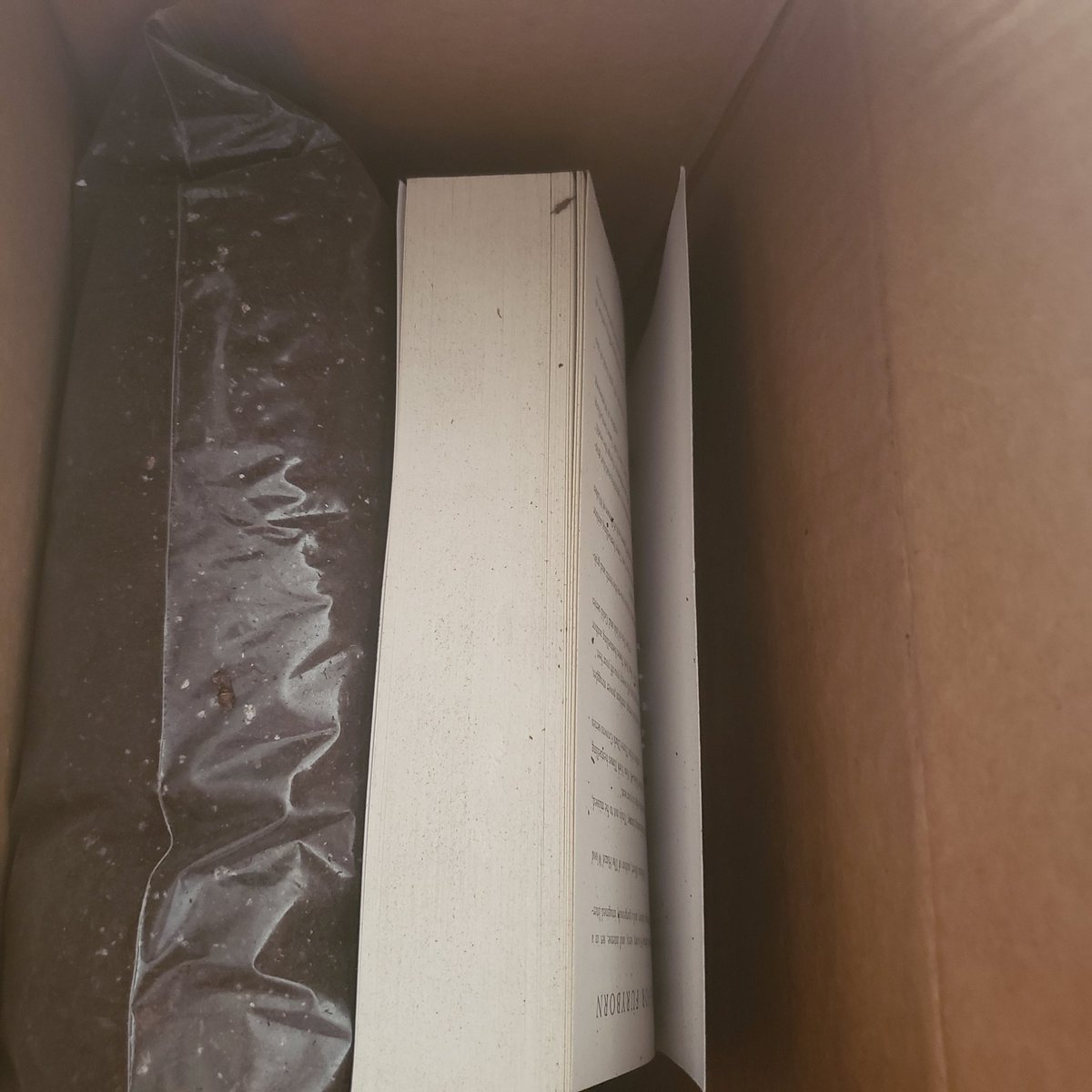 LaceyCWilson's tweet photo. @amazon come on. I understand that these shipped together because I bought them at the same time. But to see a paperback with a damaged bag of dirt ...why? Now I'm shaking out dirt just to read. https://t.co/J0KlsiLjk6