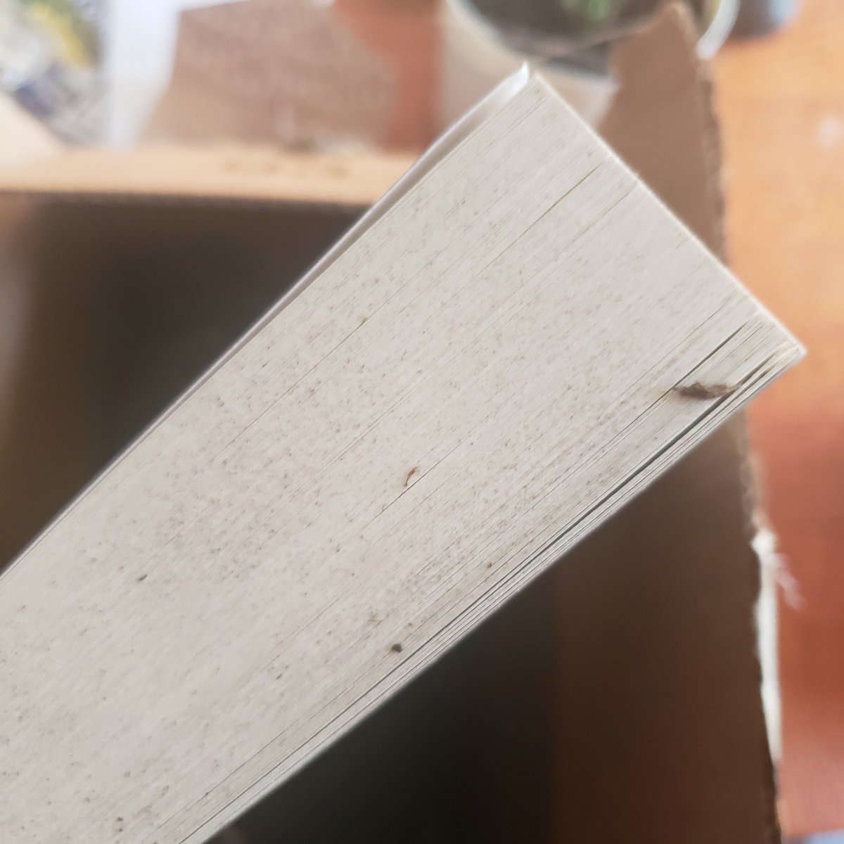 LaceyCWilson's tweet photo. @amazon come on. I understand that these shipped together because I bought them at the same time. But to see a paperback with a damaged bag of dirt ...why? Now I'm shaking out dirt just to read. https://t.co/J0KlsiLjk6