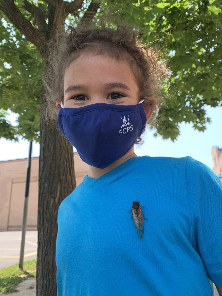 GreeneKinderGARDEN tweet media