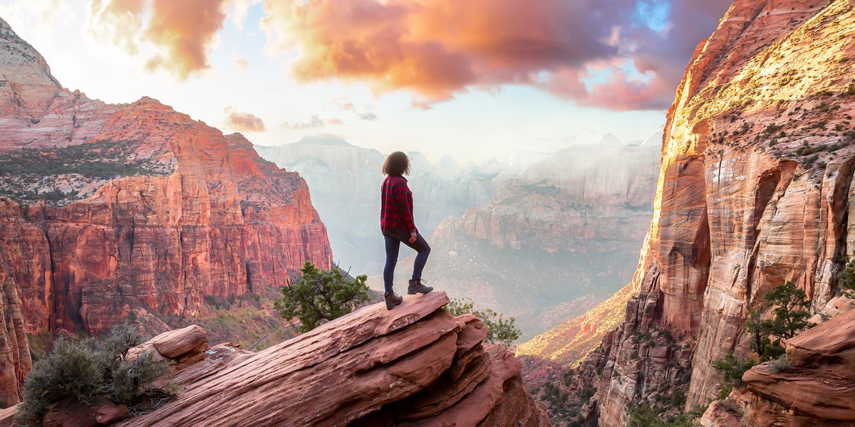 Scott Mitchell tweet media