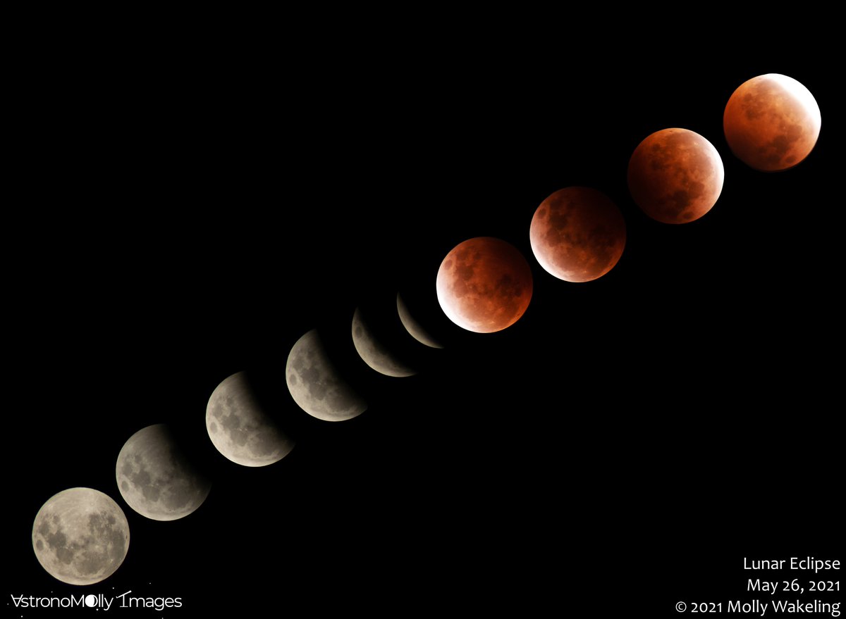 mollycule509's tweet photo. Lunar Eclipse 2021! Absolutely gorgeous weather. Sky-Watcher Star Adventurer, Nikon D5300, Nikon 70-300mm lens @ 300mm, f/5.6. :D:D https://t.co/451huzHtBX