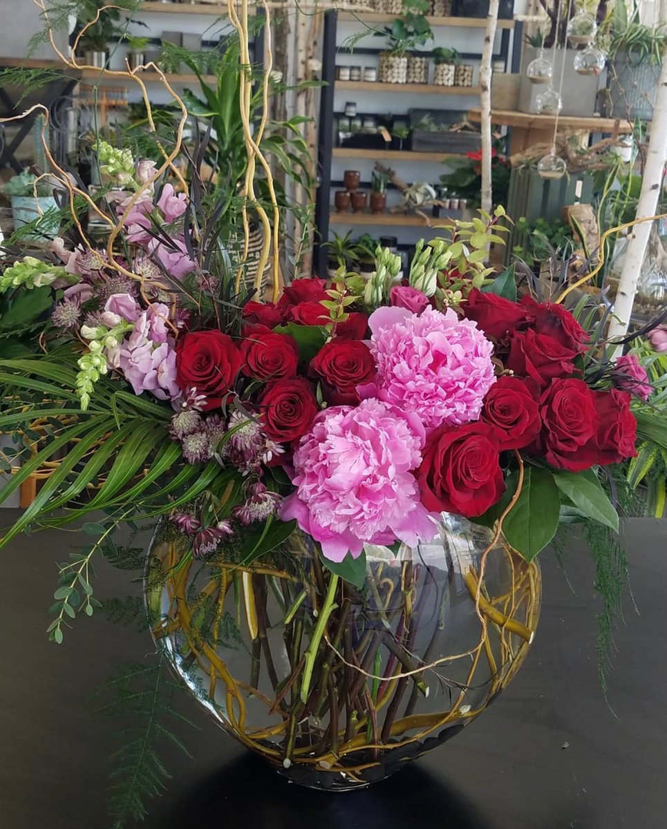 Bloom_NWA's tweet photo. 🎶 If I had two dozen roses 🌹  #flowershoplife #roses #dennisdennisdennis https://t.co/bNehfZISPM