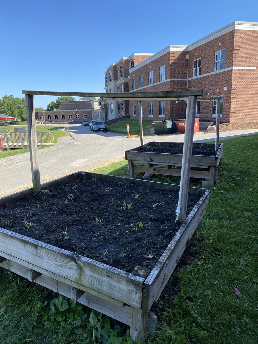 M_Lestina's tweet photo. So proud of our City High Garden Club! They came in after school, weeded, and planted the school garden. Dedication and motivation at its finest! #tstl #iowacityhigh #TheSchoolThatWeeds @JBacon23 https://t.co/xw2uIrMVmh