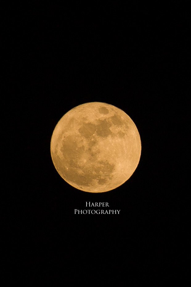 Gabo_Harper's tweet photo. Salgan a ver la luna es  un espectáculo https://t.co/a66GUnLvcT