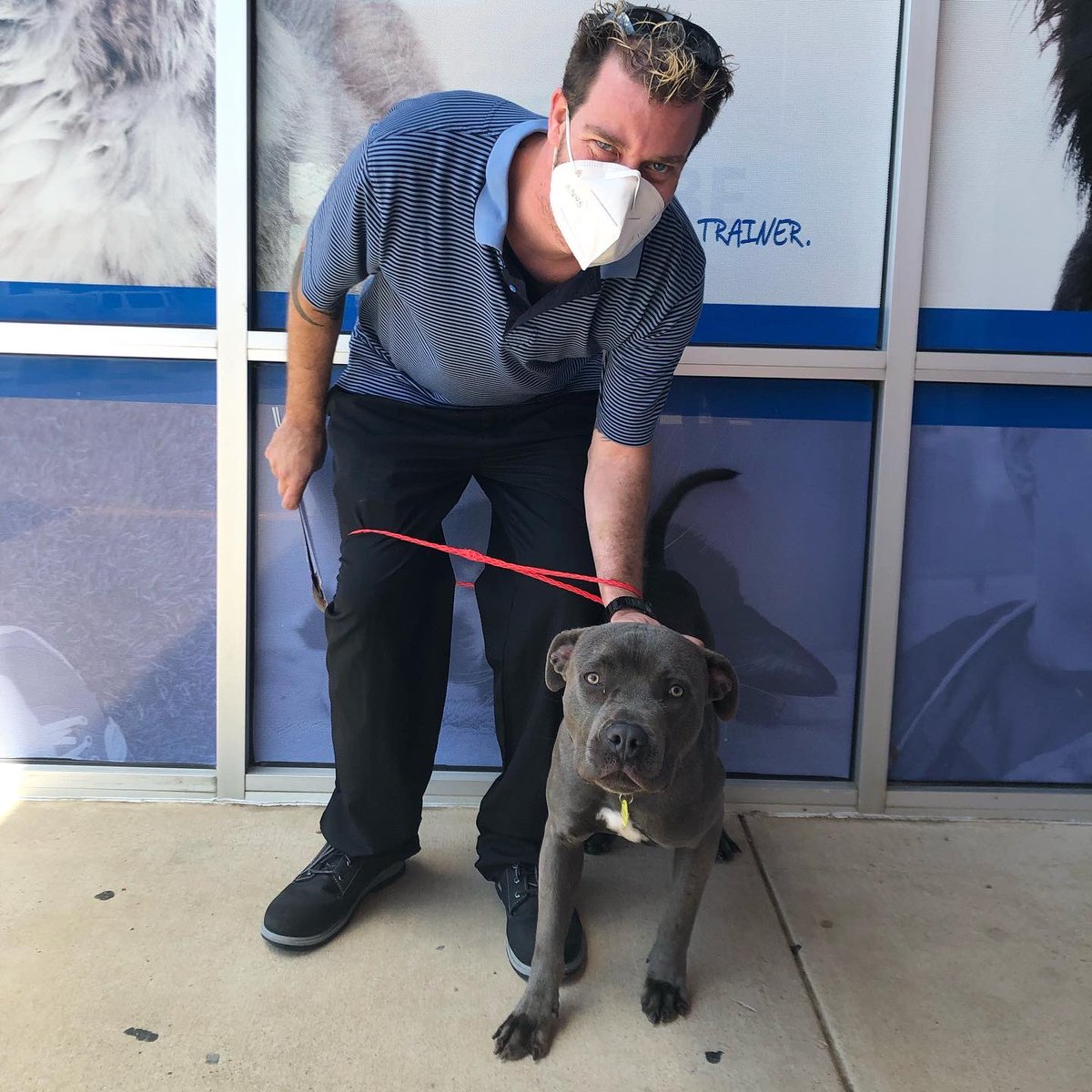 DallasShelter's tweet photo. Our first day allowing adopters in to meet pets in person since the pandemic began was a SUCCESS! We had 60+ adoptions! Thank you to everyone who adopted today. We still have 160+ pets available for adoption and we will be allowing adopters in the building DAILY from 11AM - 6PM. https://t.co/LQg6zslzFg