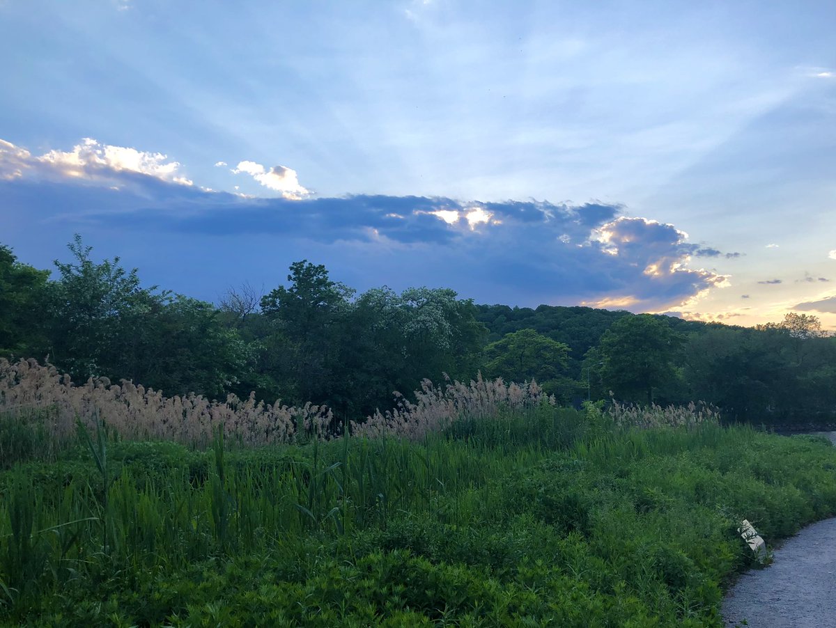 Jshatan's tweet photo. Plane Truths #145: Urban Pastoral. #landscape #urbannature #inwoodhillpark #nycparks #sunset #inwood #manhattan #upstatemanhattan #newyork #newyorkcity #seeyourcity #bigcity #city #iPhone8 #shotoniphone #iphonephotography #photoaday #photoadaymay https://t.co/aOw40gqetB