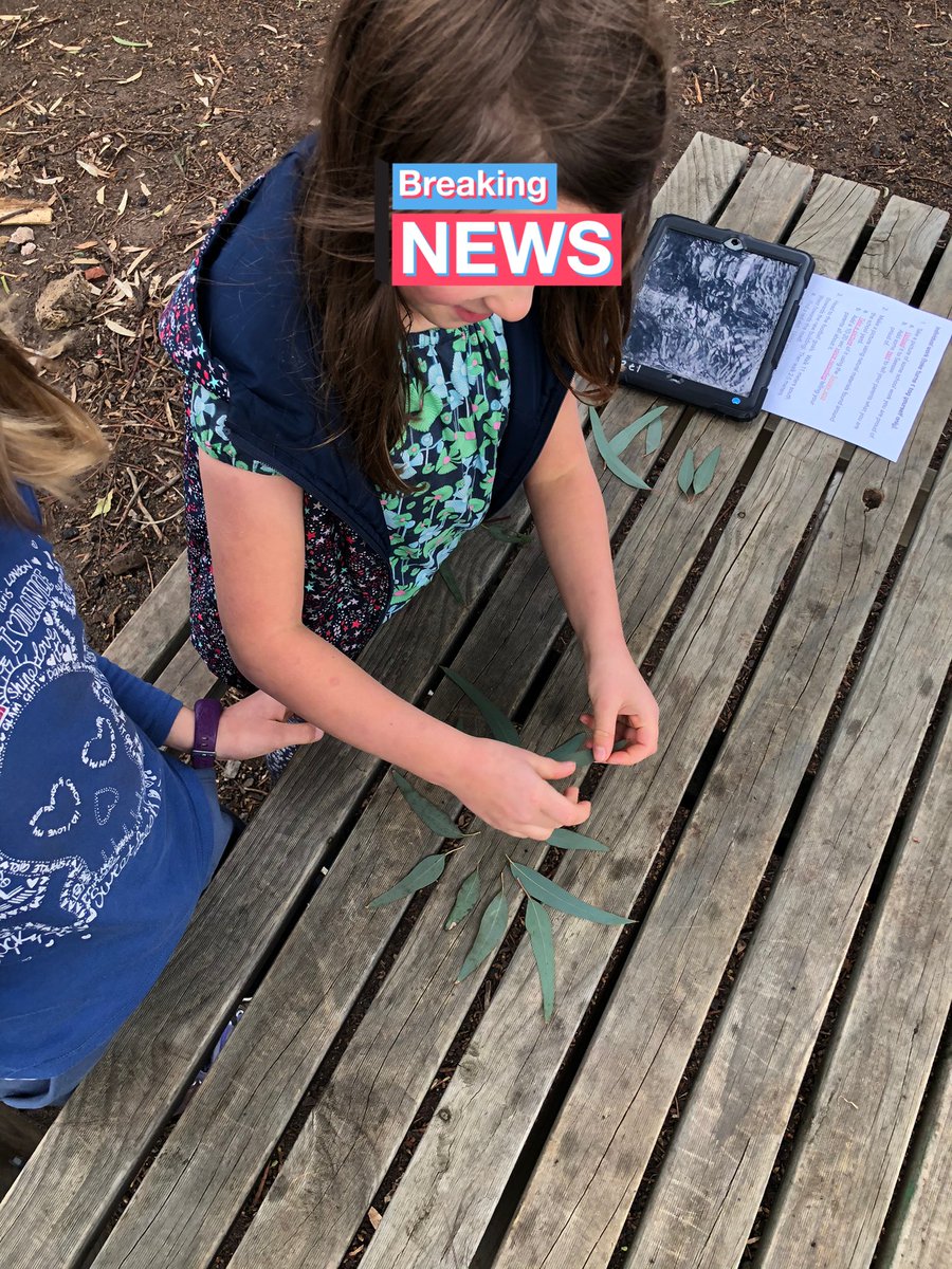 bnwps_tim's tweet photo. Honing our Seesaw skills getting ready for a mini lockdown! @BNWPS_KateMiddy https://t.co/YdDdM0jEKI