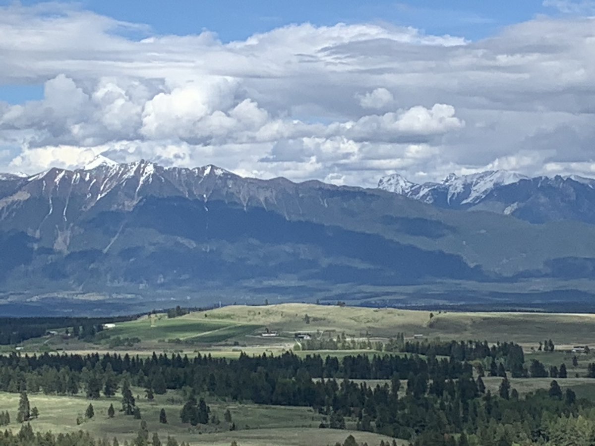 SilkeYardley's tweet photo. So important to go for a walk after work #eastkootenay #thebuttes #chocolatelab #sunflowers #worklifebalance #hikingadventures https://t.co/keoXHKVq2y