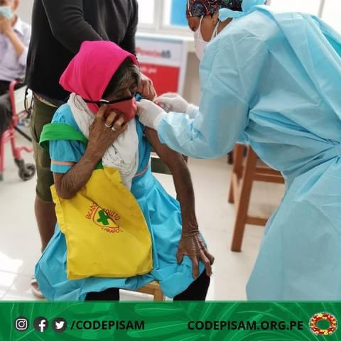 CODEPISAM1's tweet photo. 🚨 Nuestros adultos mayores del pueblo Kichwa en Lamas, de manera voluntaria, se están vacunando contra la COVID-19 en centros de la red de salud.
#PongoElHombro #CODEPISAM #RegionSanMartin https://t.co/gkDtWtQpcw